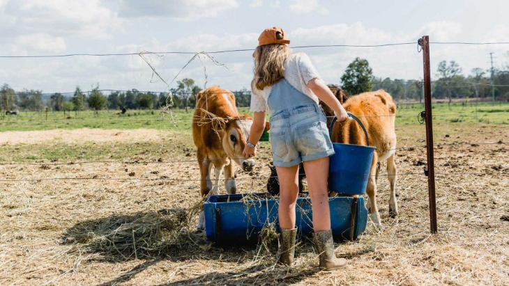 Farm stays near Brisbane