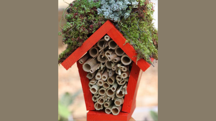 kids gardening