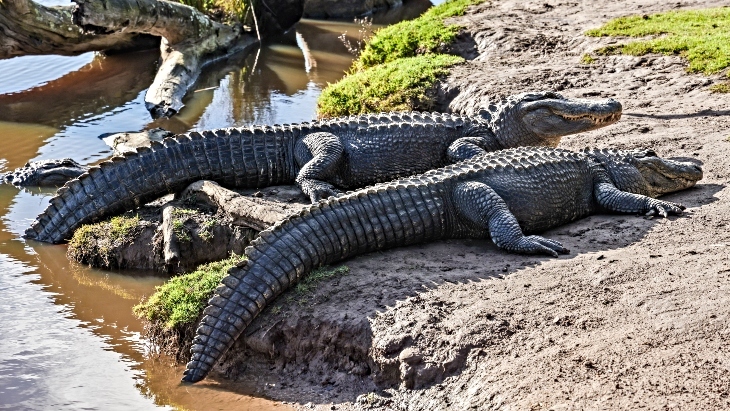 Hunter Valley Zoo Joins Australian Wildlife Parks Making It Our Largest Private Collection Of Animals