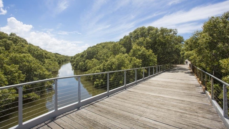 Badu Mangroves Boardwalk