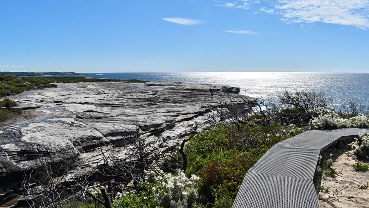 Cape Bailey Walking Track