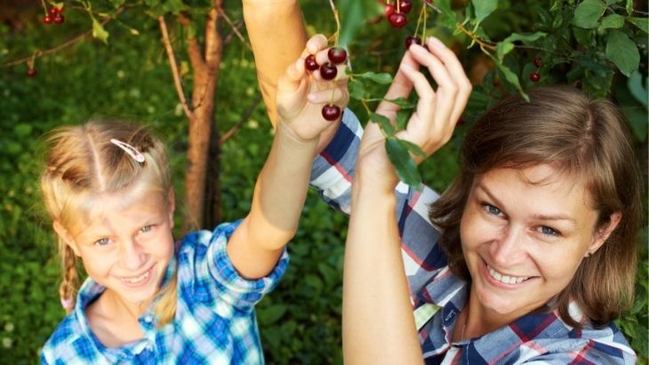 Barbeques Galore Aussie Summer Family Fruit Picking