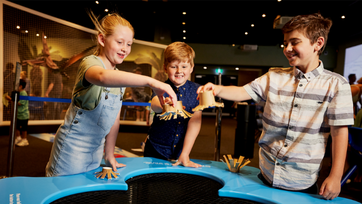 The Australian Museum