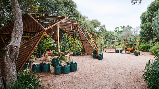 Healing land, remembering Country at Elizabeth Farm