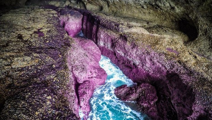 Pink caves on the Central Coast