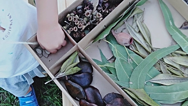 Little Olive Montessori Sensory Box