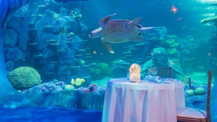 SEA LIFE Valentine's Day