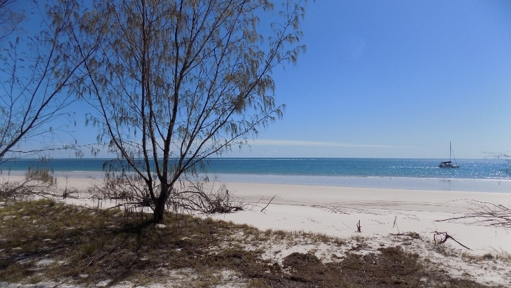 Fraser Island Camping