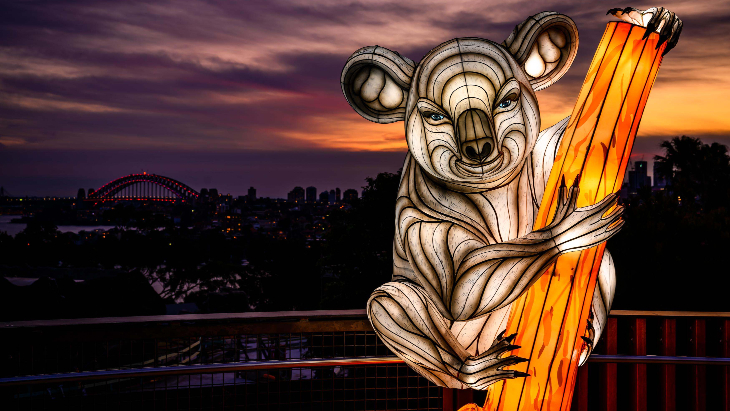 Vivid Taronga Zoo
