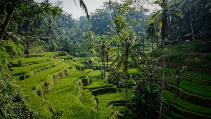 Quarantine Free Travel to Bali