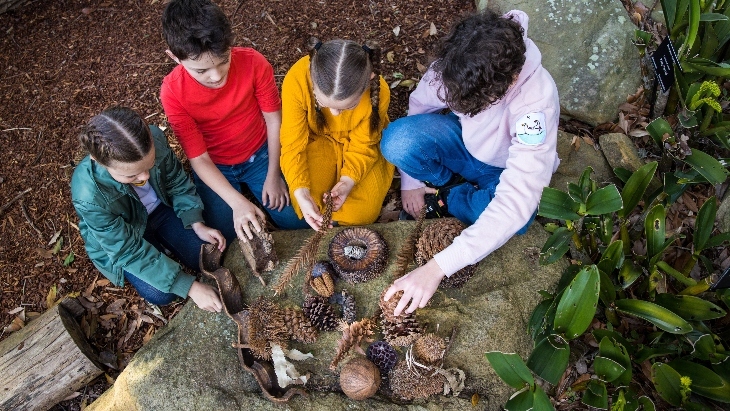 Australian Botanic Garden Mount Annan