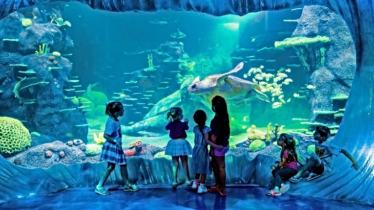 Top Places to Visit With Babies and Toddlers in Sydney