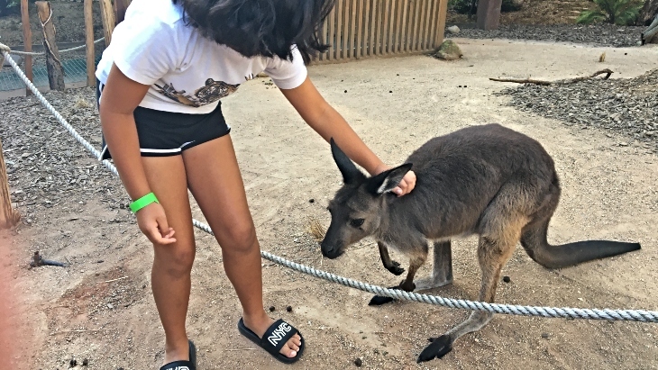 WILD LIFE Sydney Zoo