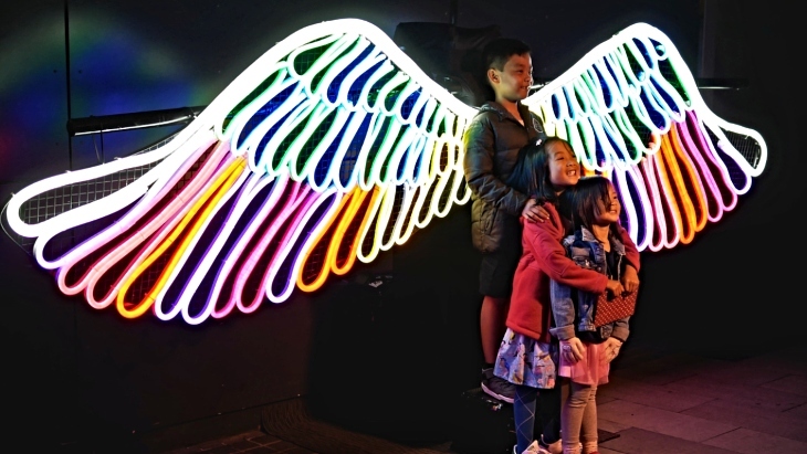 GLOW Sydney Zoo Shadow Play