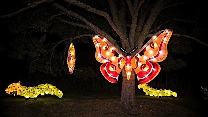 GLOW Sydney Zoo Animal Lanterns