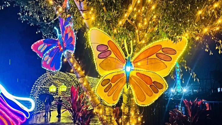 GLOW at Sydney Zoo Review Butterflies
