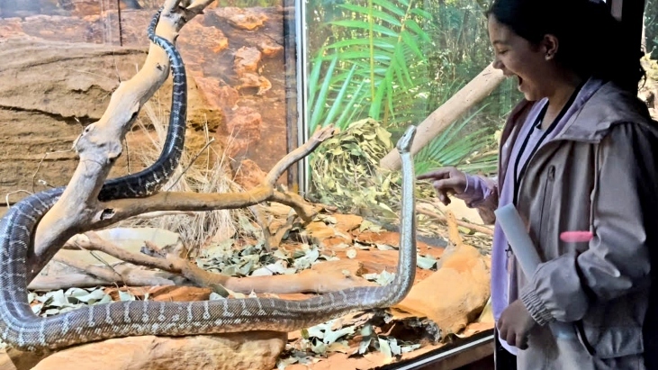 GLOW at Sydney Zoo Review Snake 