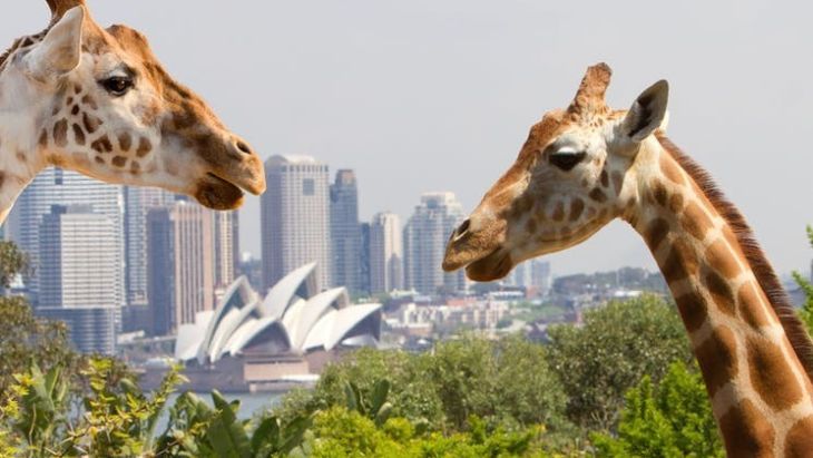 Taronga Zoo