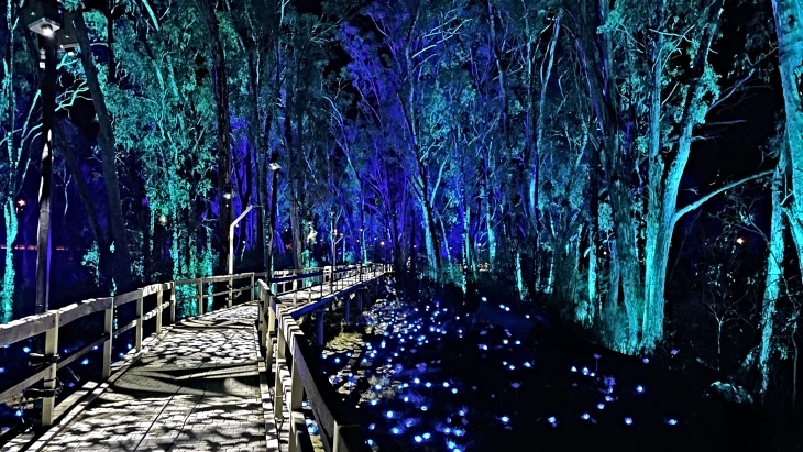 Moama Lights Festival 2024