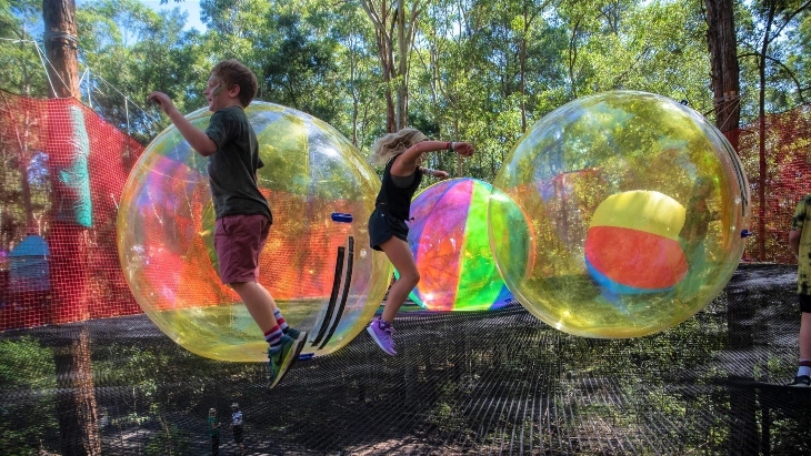 WildNets Port Macquarie