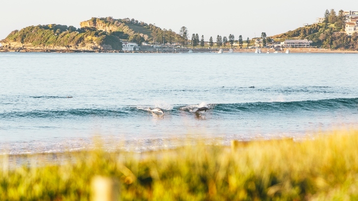 The best Central Coast beaches