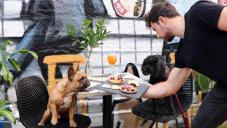 Dog cafes in Sydney
