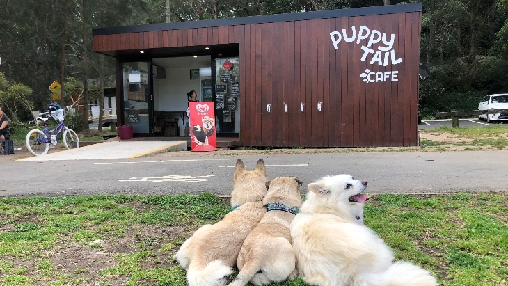 Puppy Tail Cafe