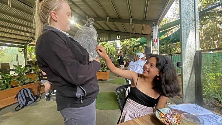 Currumbin Wildlife Sanctuary Koala Breakfast