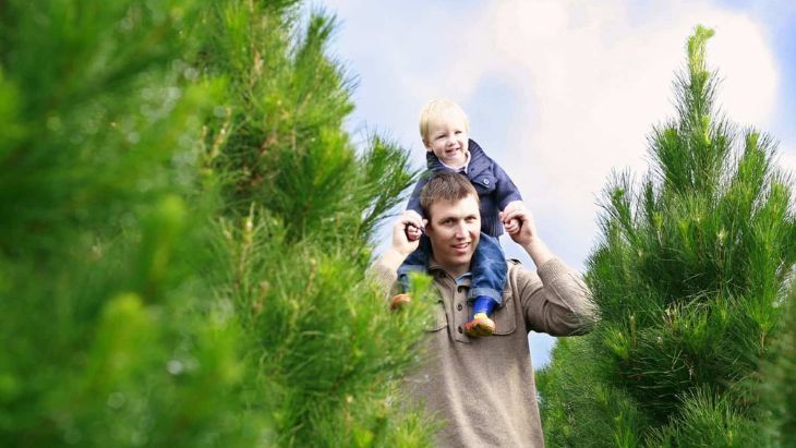 Dandenong Christmas Tree Farm