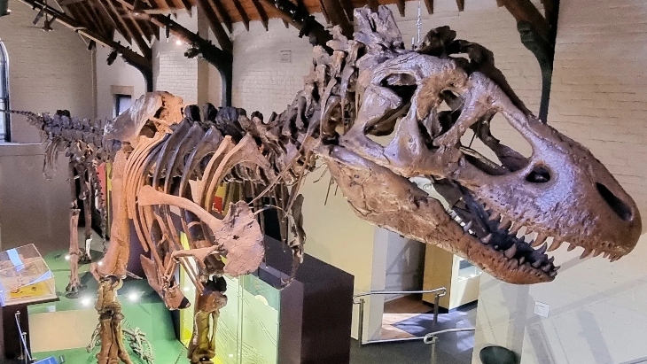 Australian Fossil Museum