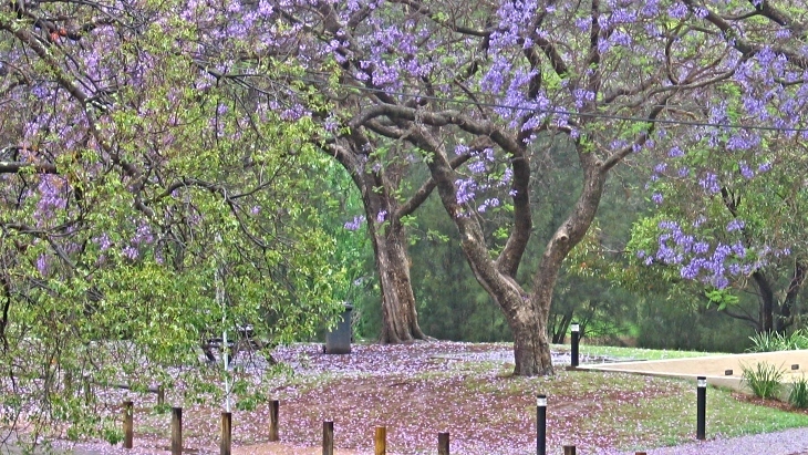 Parramatta Park