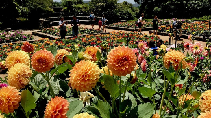 Blue Mountains Botanic Garden