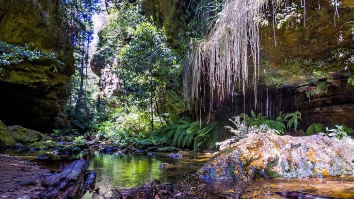 The best hikes in Sydney