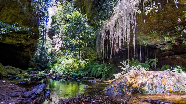 Best hikes in Sydney