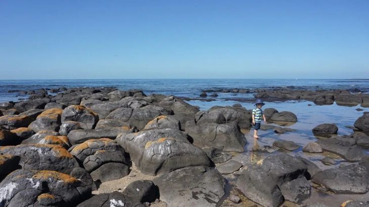 Best rockpools for kids in melbourne