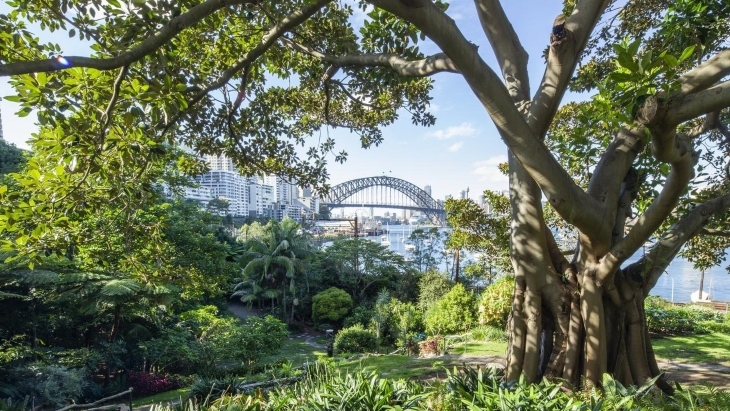 Secret gardens in Sydney