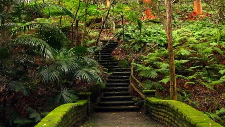 Secret gardens in Sydney