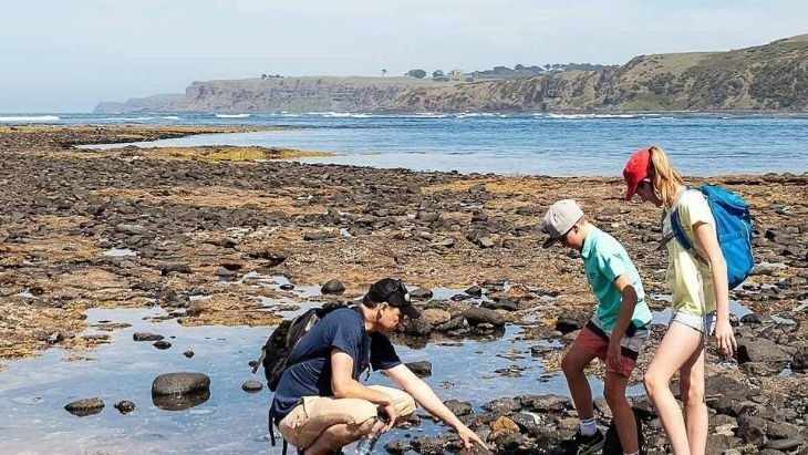 Melbourne Rockpools