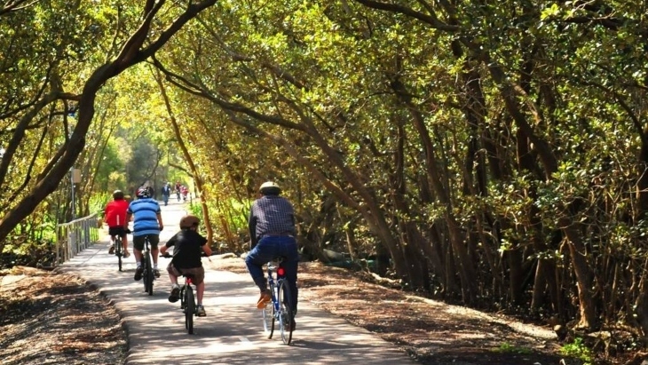 Bike tracks in Sydney