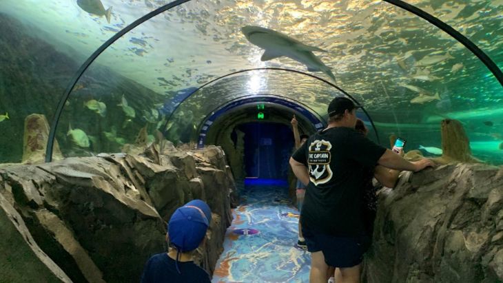 SEA LIFE Sydney Aquarium