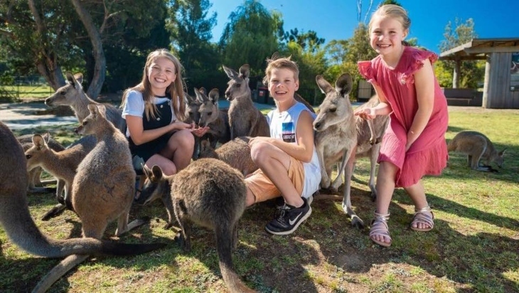 Animal activities in Sydney