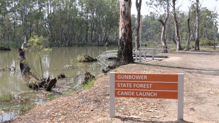 Gunbower Island camping