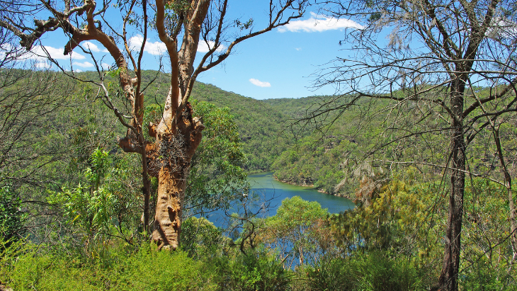 revealed-the-top-10-safest-suburbs-in-sydney-ellaslist