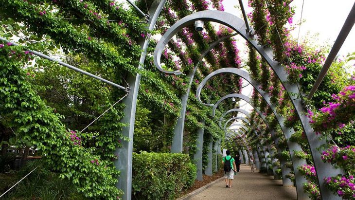 Southbank Arbour