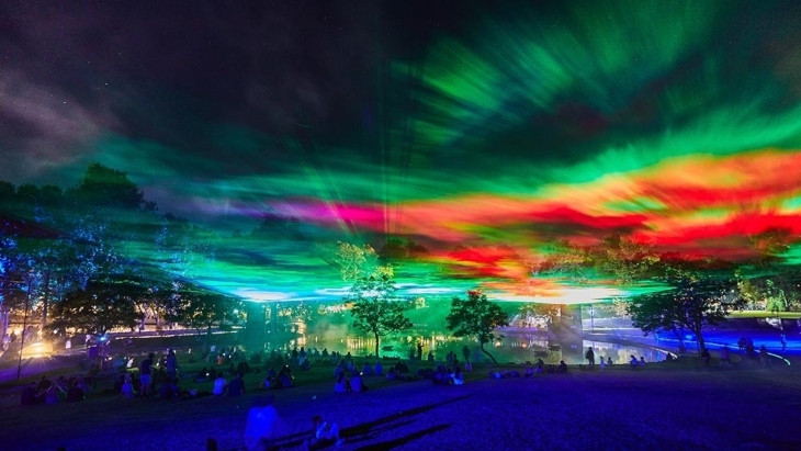 Borealis in the Vines