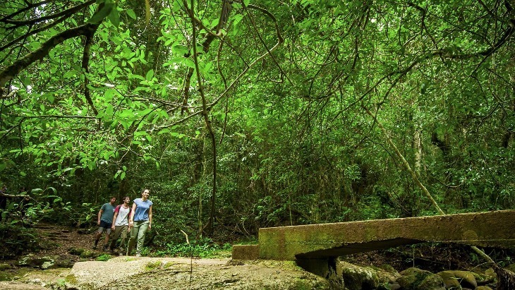 Lamington National Park