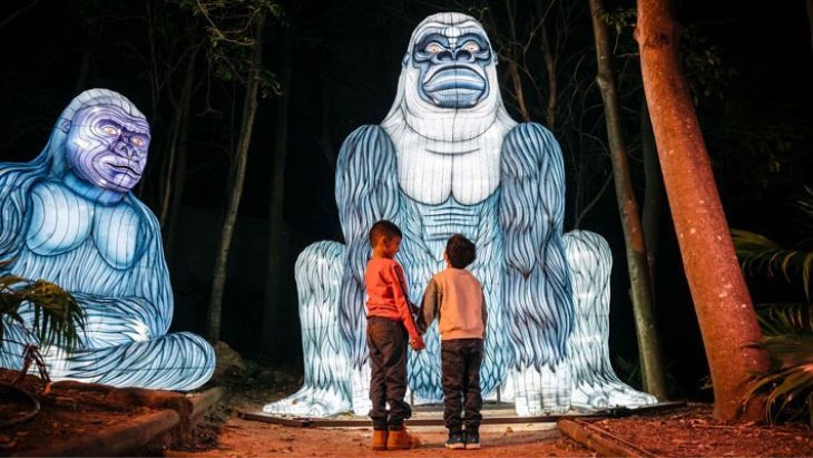 Wild Lights at Taronga Zoo