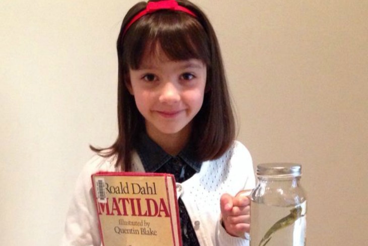 Matilda Costume for Book Week