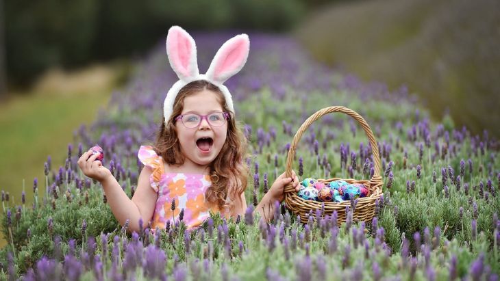 Warantina Lavender Farm Easter