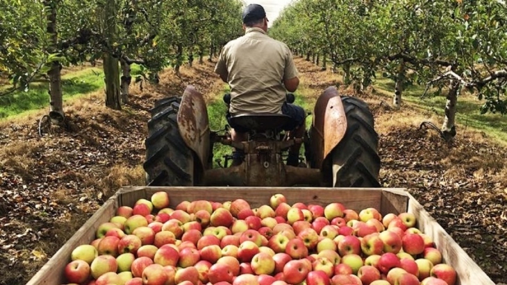 Glenbernie Orchard